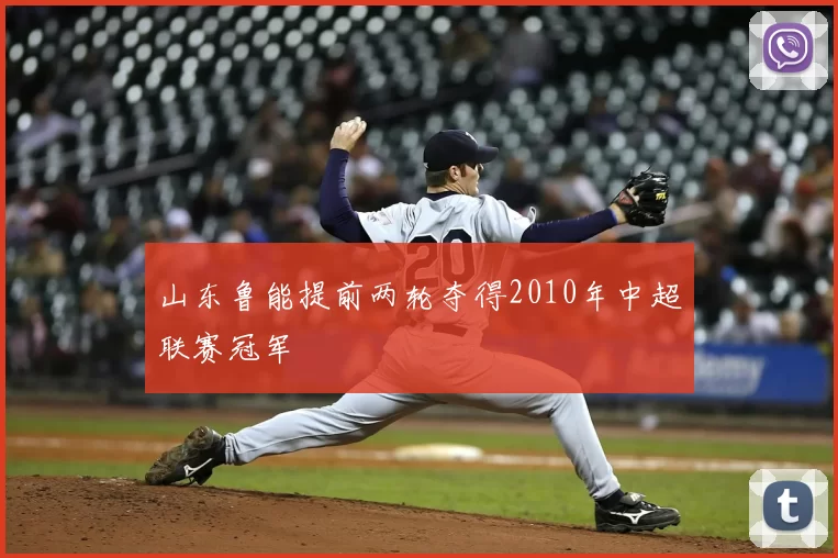 山东鲁能提前两轮夺得2010年中超联赛冠军