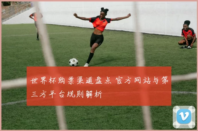 世界杯购票渠道盘点 官方网站与第三方平台规则解析