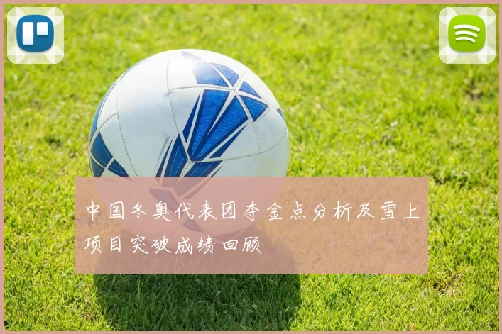 中国冬奥代表团夺金点分析及雪上项目突破成绩回顾